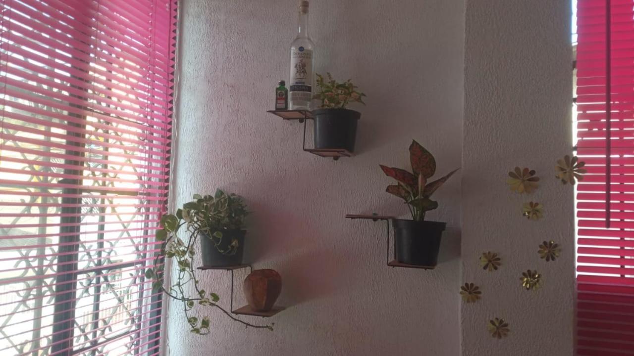 CartagenaCat Family Lodging公寓 外观 照片